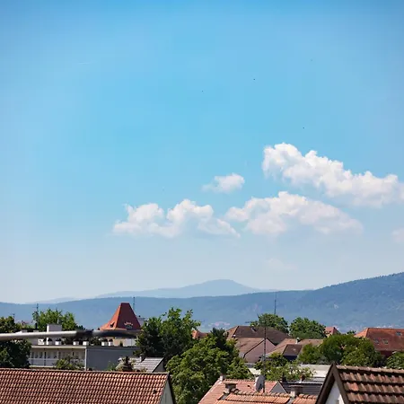 Lägenhet Horizon - Private Garage - Balcony - Splendid View Colmar